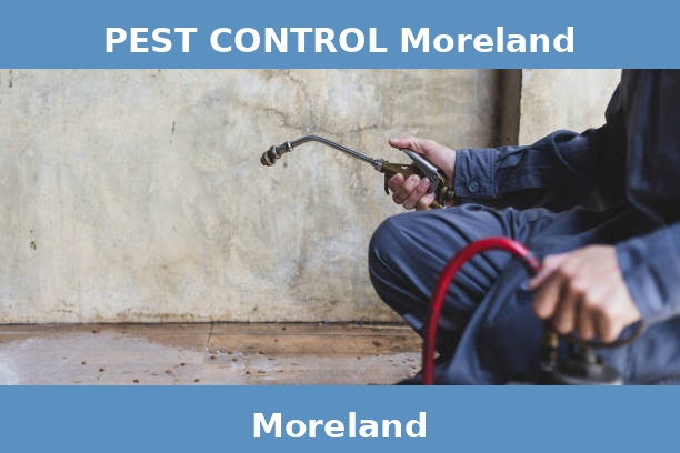 PEST CONTROL Moreland